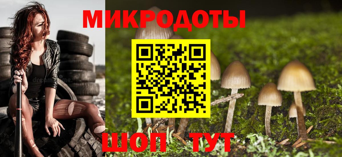 Унеча  Псилоцибиновые грибы Psilocybine cubensis  Вход с VPN  Псилоцибиновые грибы мухоморы 